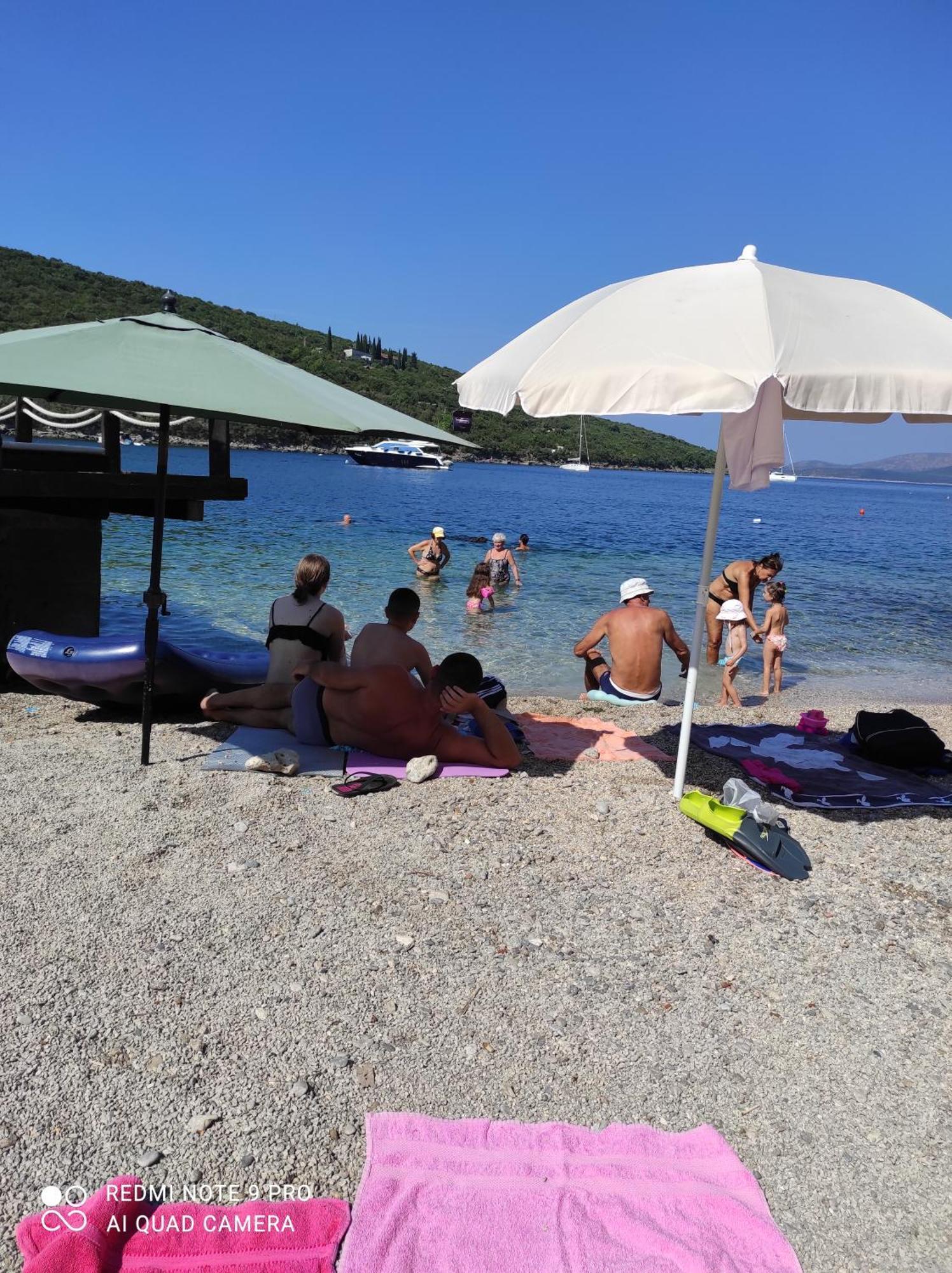 U Sumi Nedaleko Od Mora Bigovo