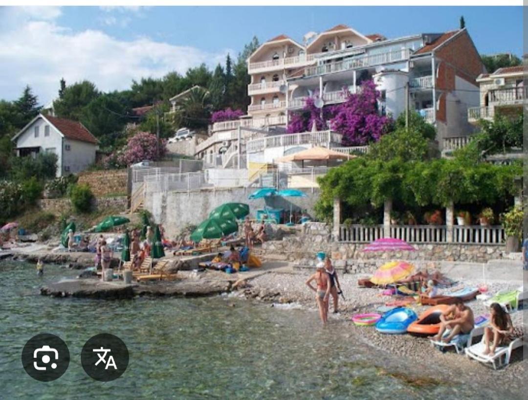 U Sumi Nedaleko Od Mora *